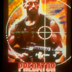 Predator