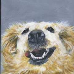 GINGER024