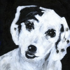 Sam-dog021