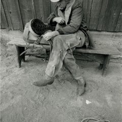 COWBOY2